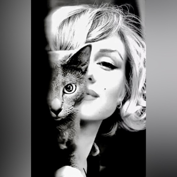 Marilyn Monroe RARE up close & PERSONAL print picture collection b&w photo - Picture 2 of 8